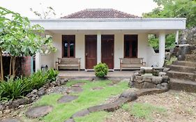 Rock Garden Homestay & Resto